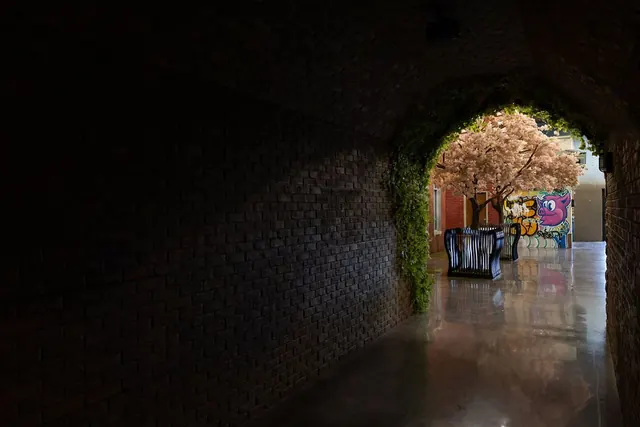 Brick archway into the indoor park at The Alley